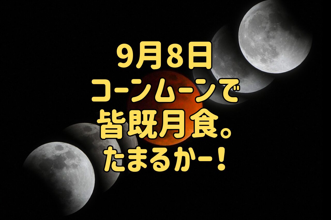 婚活コラム画像